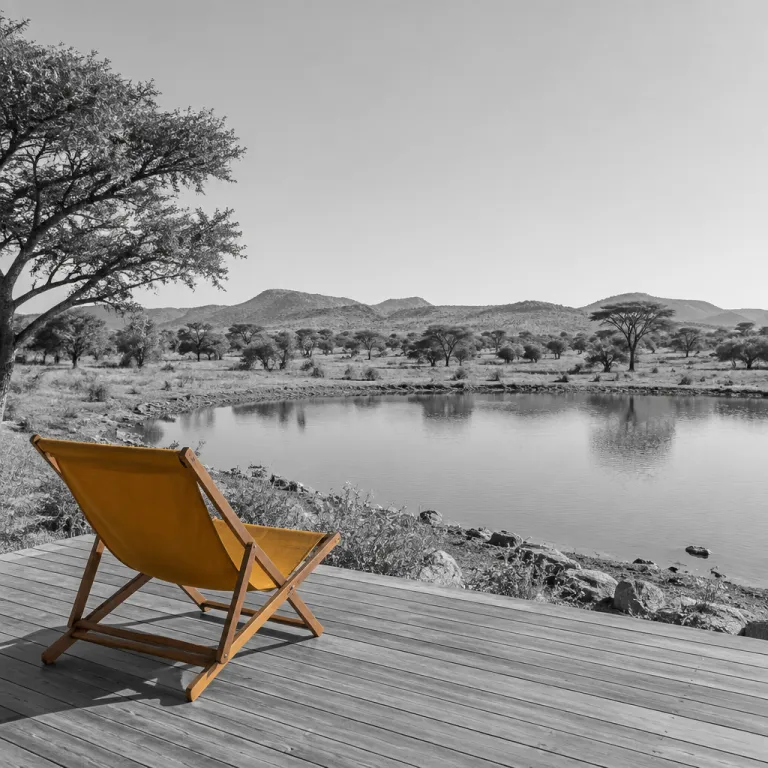 Why July Is the Quiet Power Month for Safari Wellness in Zambia