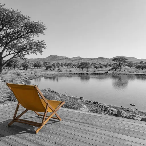 Why July Is the Quiet Power Month for Safari Wellness in Zambia