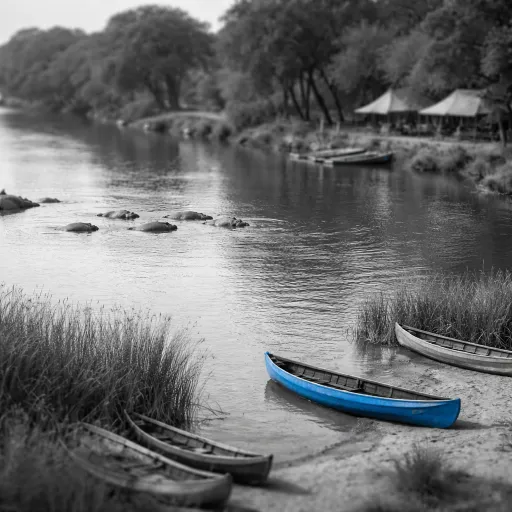 Canoeing Past Hippos: A Realistic Account of What River Safaris on the Lower Zambezi Feel Like
