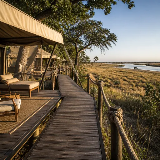 Saseka tented camp: elevated safari luxury for Zambia‑bound travellers