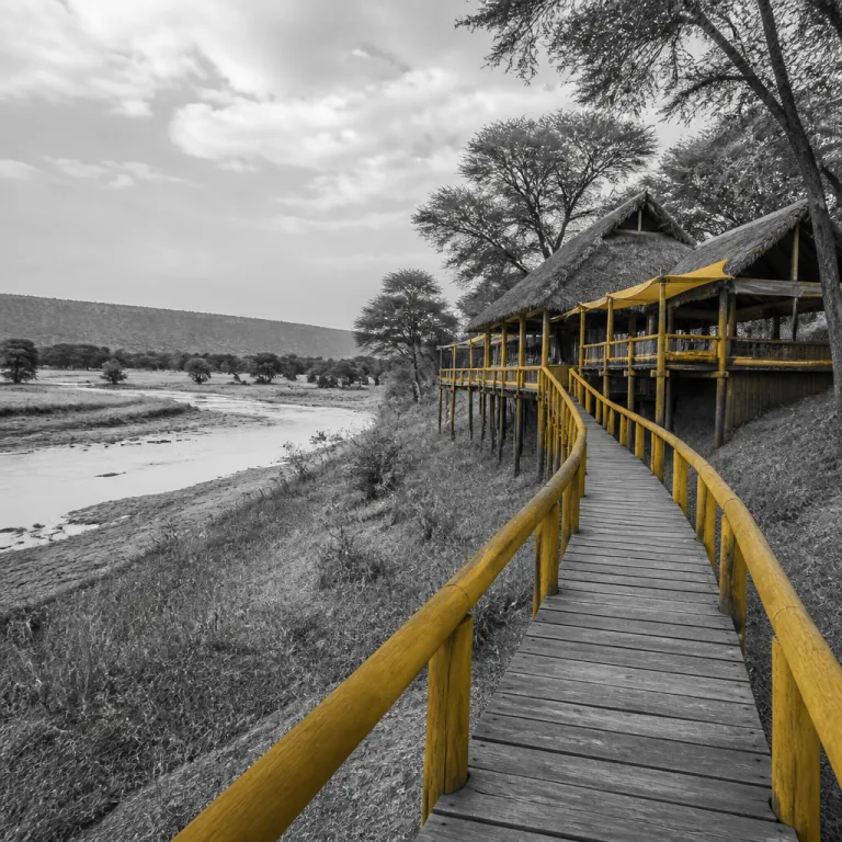 Zambia South Luangwa: elevated stays in the Luangwa valley’s wild heart