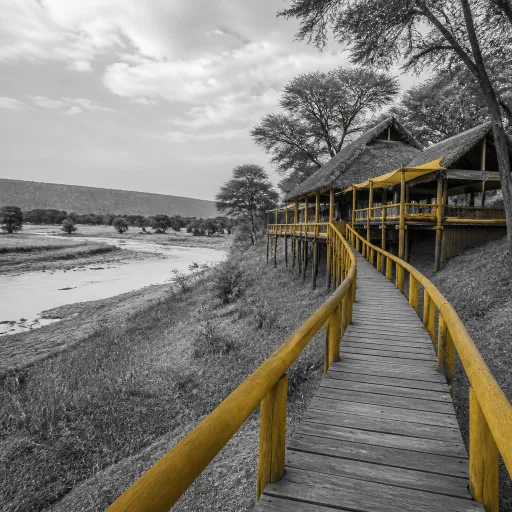 Zambia South Luangwa: elevated stays in the Luangwa valley’s wild heart